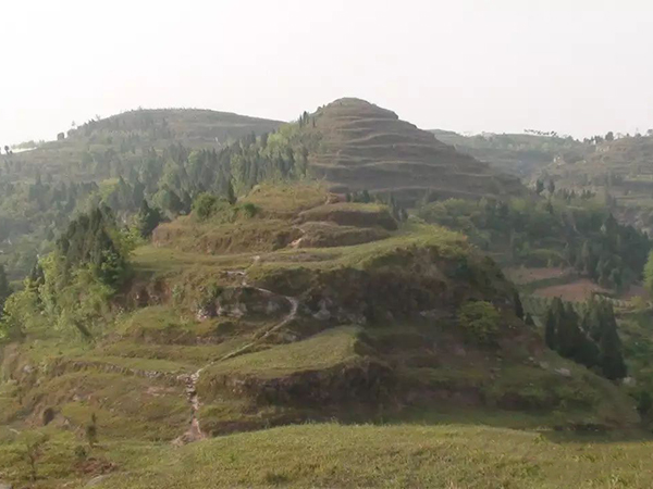 202011061133124747040.jpg